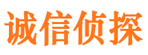 德城市私家侦探